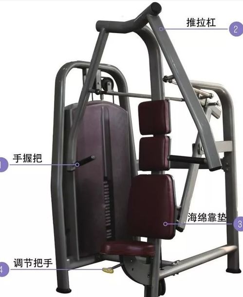 榆林健身丨健身器械的使用